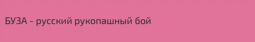 БУЗА - русский рукопашный бой